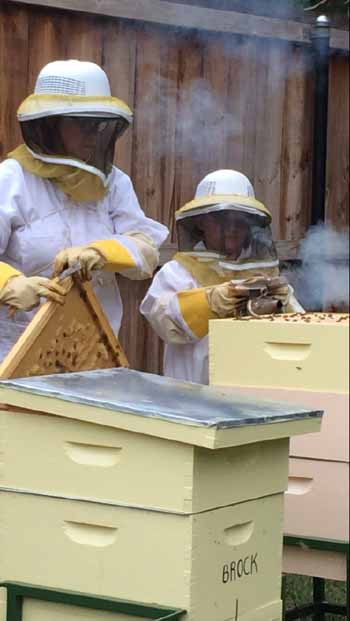 Jen Brock beekeeper